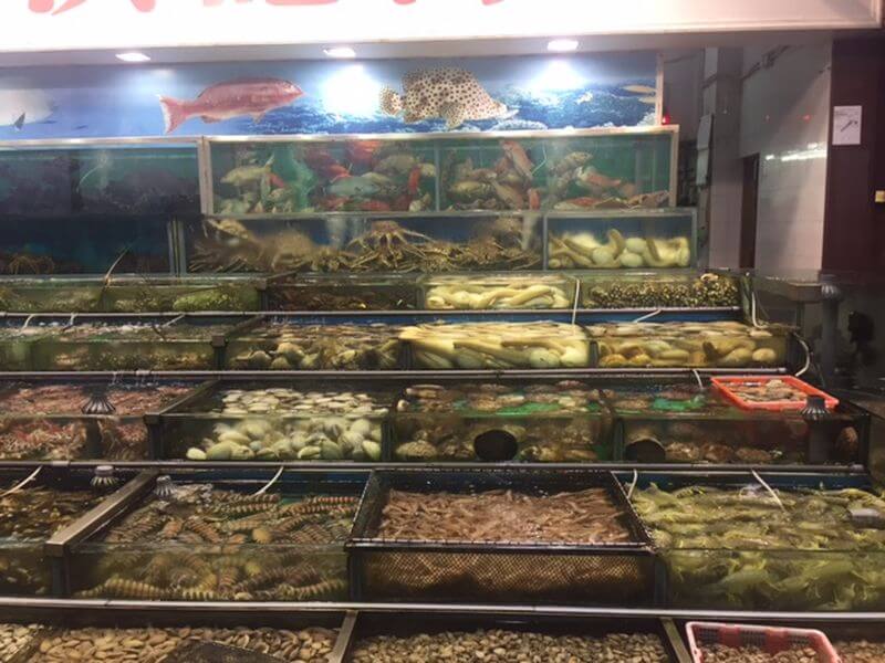Bild: Fisch-Auswahl in Taiwan
